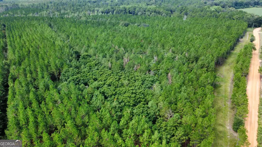 TRACT 3 A L Reeves Road, Fitzgerald, GA 31750 - #3