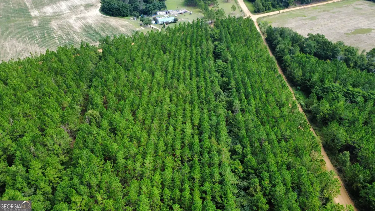 TRACT 4 A L Reeves Road, Fitzgerald, GA 31750 - #1