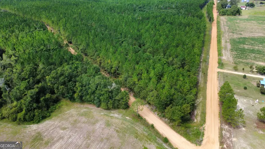 TRACT 4 A L Reeves Road, Fitzgerald, GA 31750 - #3