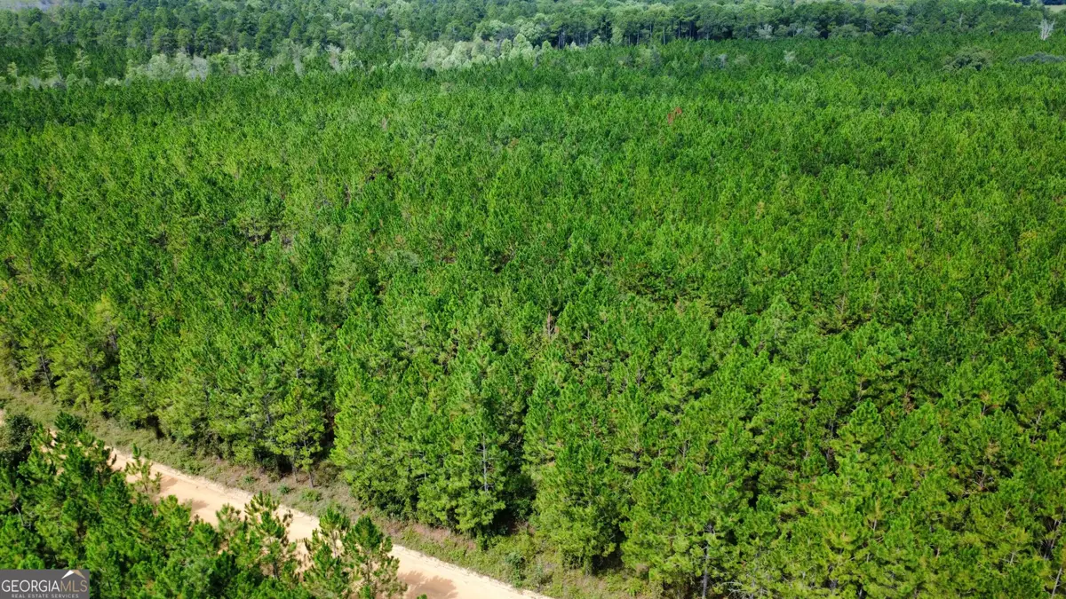 TRACT 6 Sunflower Road, Fitzgerald, GA 31750 - #1