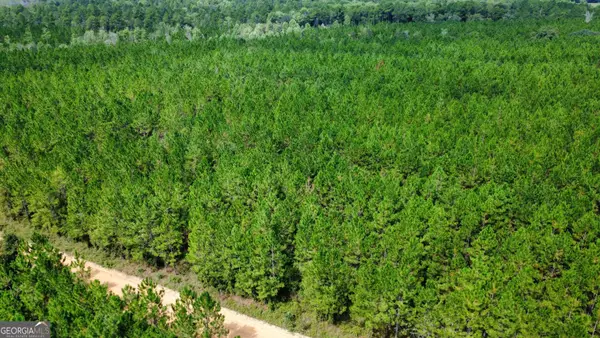 TRACT 6 Sunflower Road, Fitzgerald, GA 31750