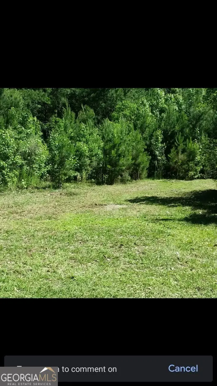 221 Turtle Drive, Richmond Hill, GA 31324 - #1