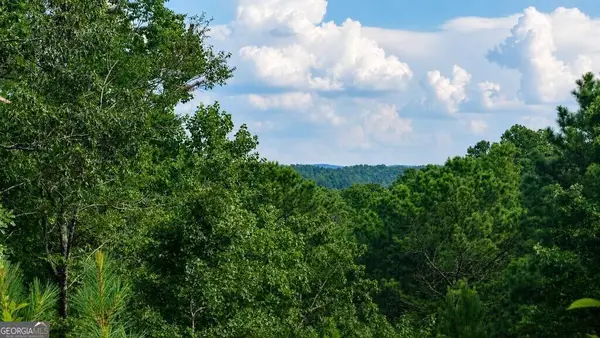 LT 160 Shallow Water Trail, Talking Rock, GA 30175