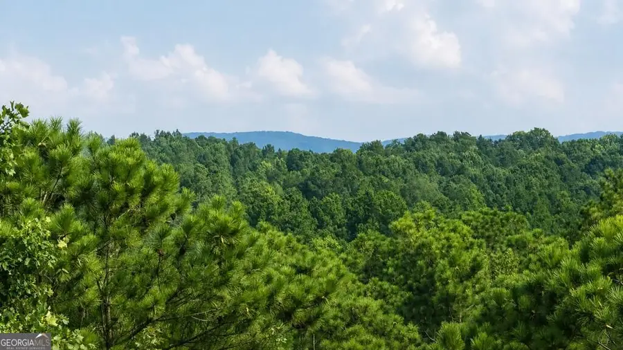 LT 160 Shallow Water Trail, Talking Rock, GA 30175 - #2