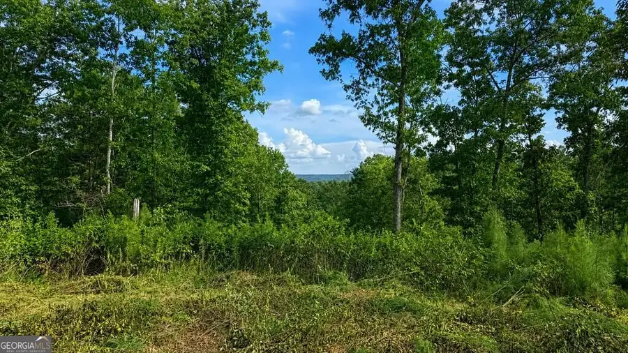 LT 160 Shallow Water Trail, Talking Rock, GA 30175 - #3
