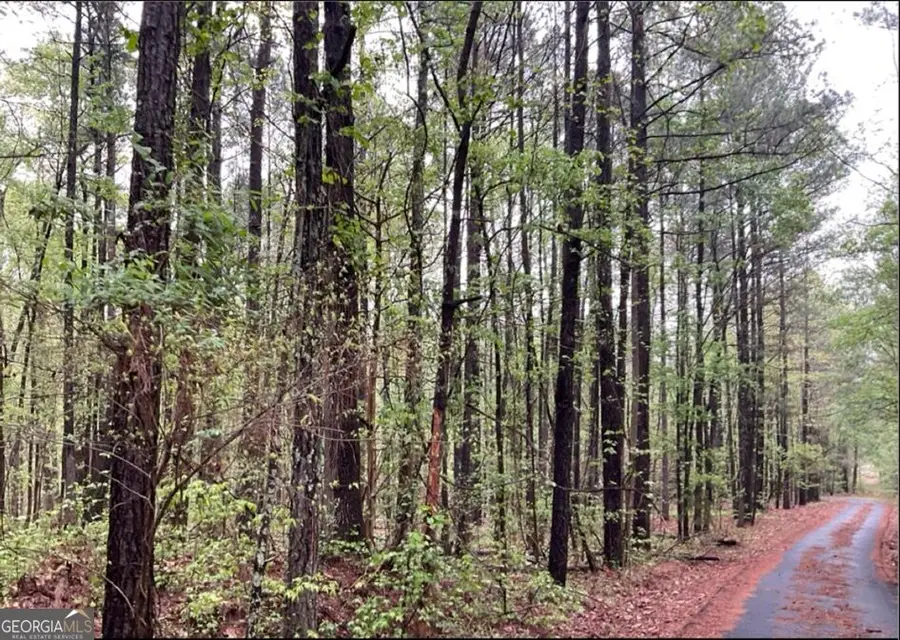 0 Labudde Lane, Colbert, GA 30628 - #2