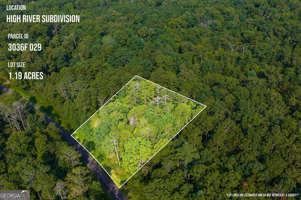 186 Pinnacle Drive, Ellijay, GA 30540 - #1