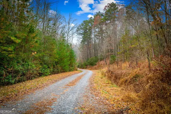 5.97AC Bullen Gap Road, Blue Ridge, GA 30513