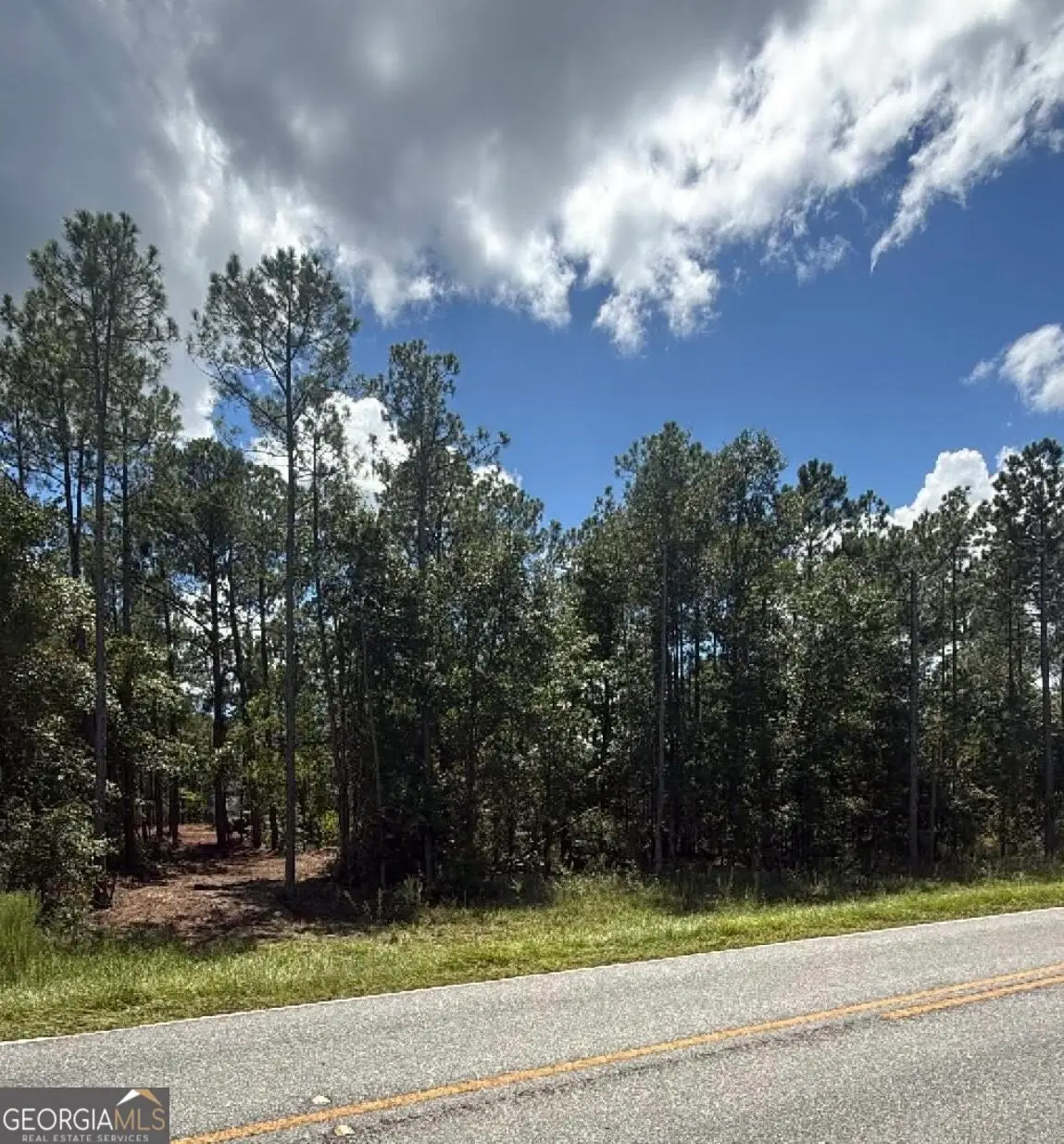 0 Fountain Road, Eastman, GA 31023 - #1