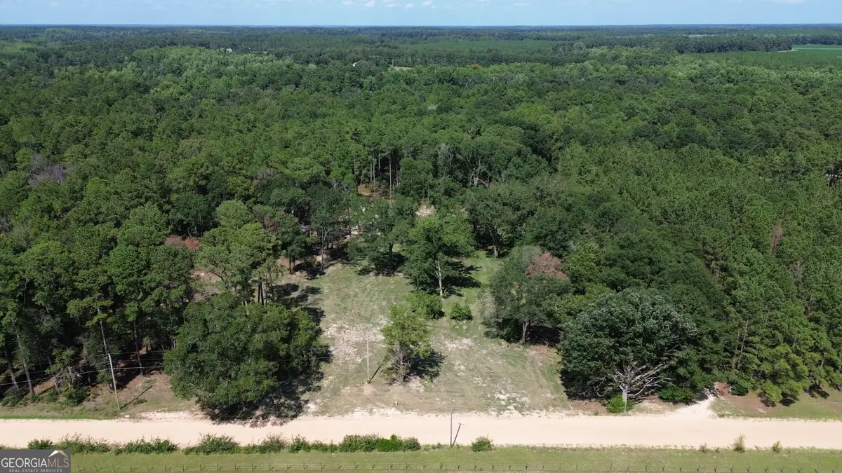 1046 Homer Bunch Road, Statesboro, GA 30461 - #1
