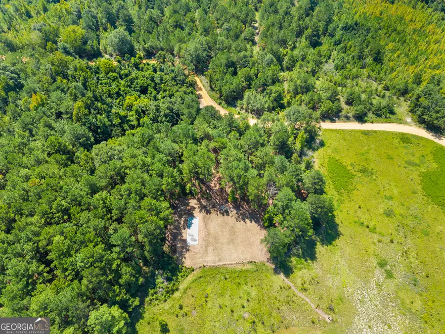 525 Spring Road, Sylvania, GA 30467 - #2