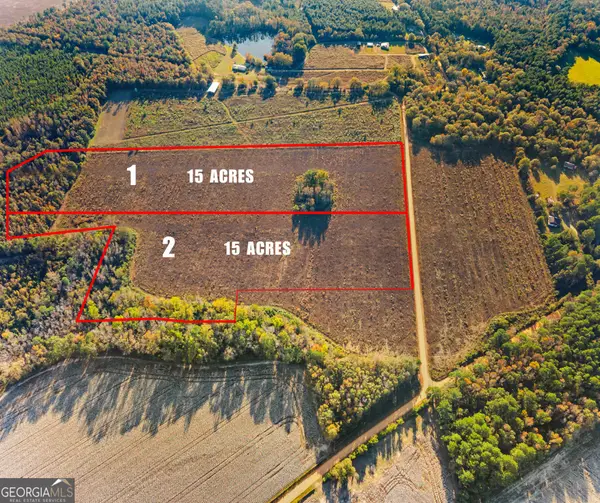 0 Waters Lane, Claxton, GA 30417