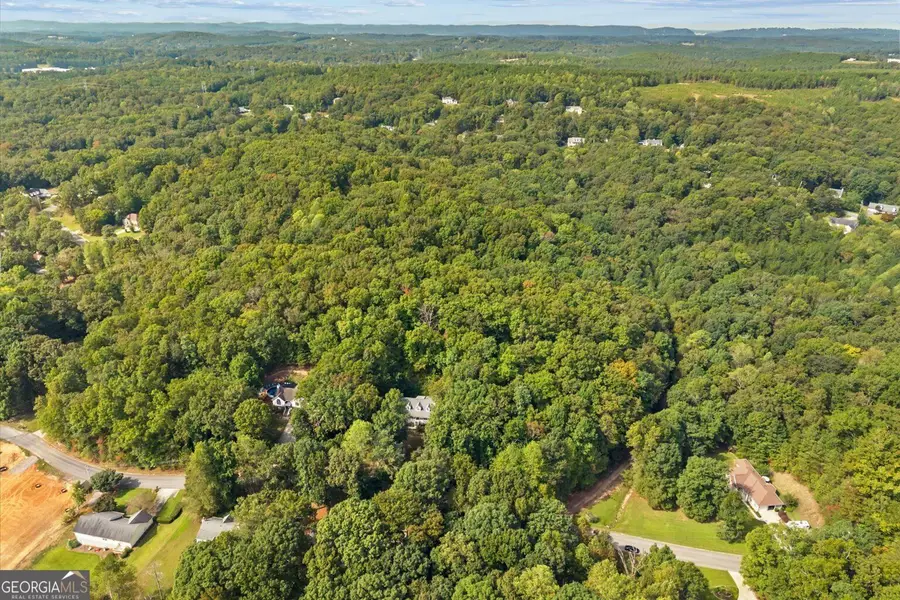 13 ACRES Percheron Drive, Dalton, GA 30720 - #3