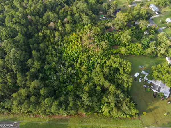 0 HWY 29 Hwy 29, East Dublin, GA 31027