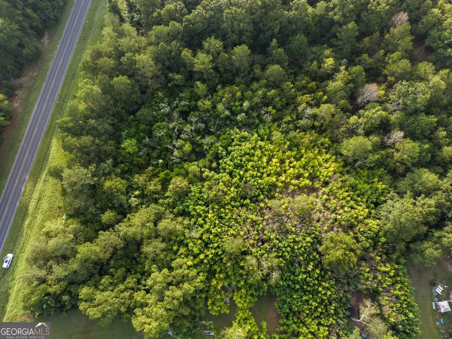 0 HWY 29 Hwy 29, East Dublin, GA 31027 - #2