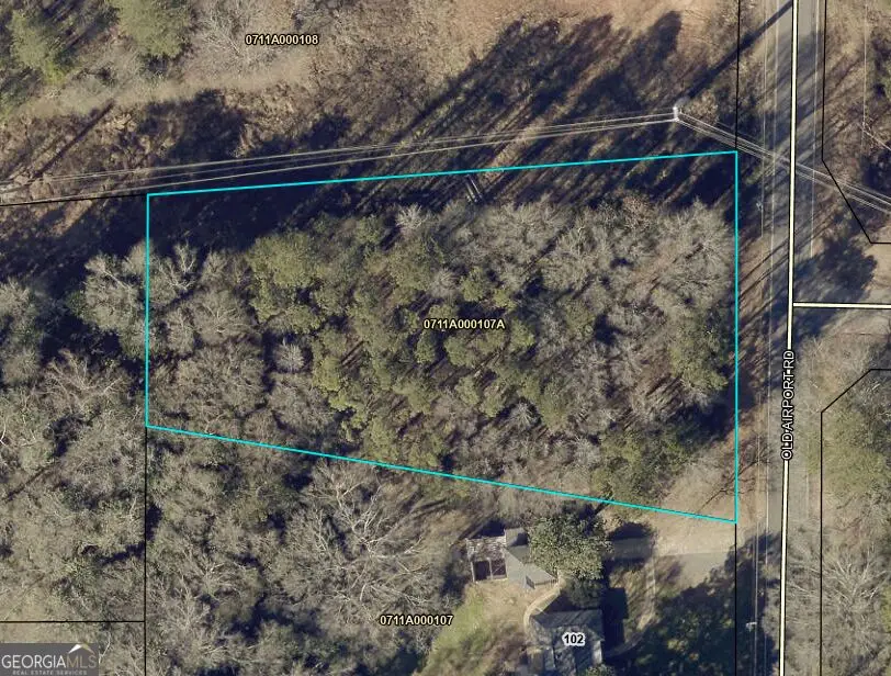 0.94 AC Old Airport Road, Lagrange, GA 30240 - #2