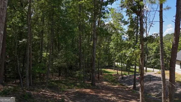 0 Sautee Ridge Road, Clarkesville, GA 30523