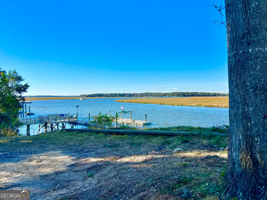 1334 Azalea Road Ne, Townsend, GA 31331 - #3