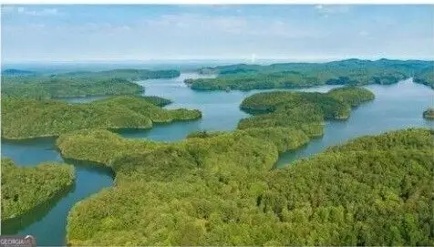 0 Carter View Drive, Ellijay, GA 30540 - #1