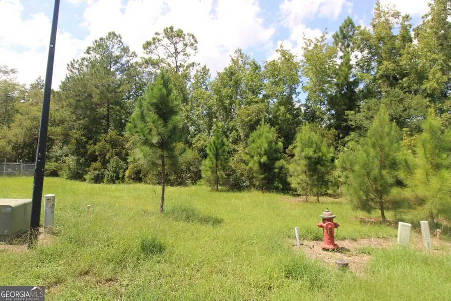 203 Drayton Circle, Brunswick, GA 31525 - #3