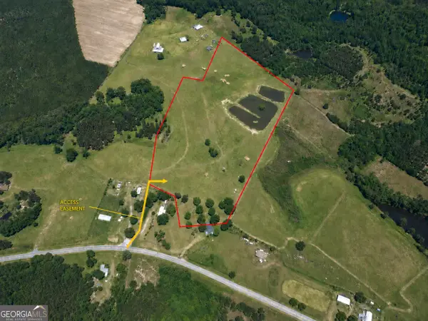 23.03 ACRES Carters Bridge Road, Claxton, GA 30417