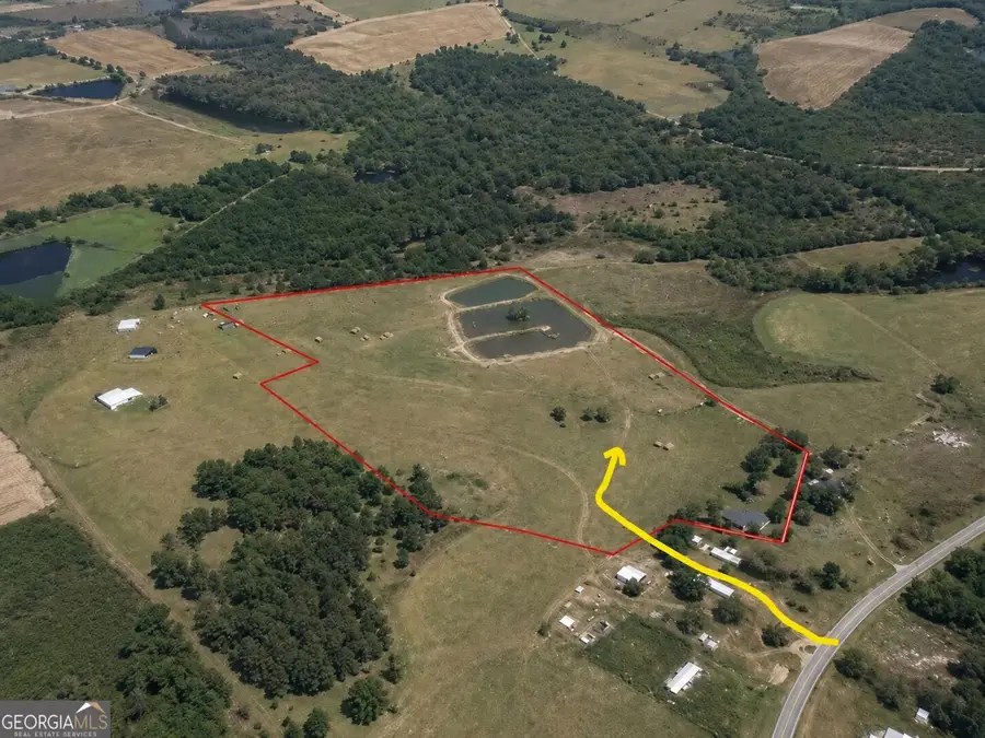 23.03 ACRES Carters Bridge Road, Claxton, GA 30417 - #3