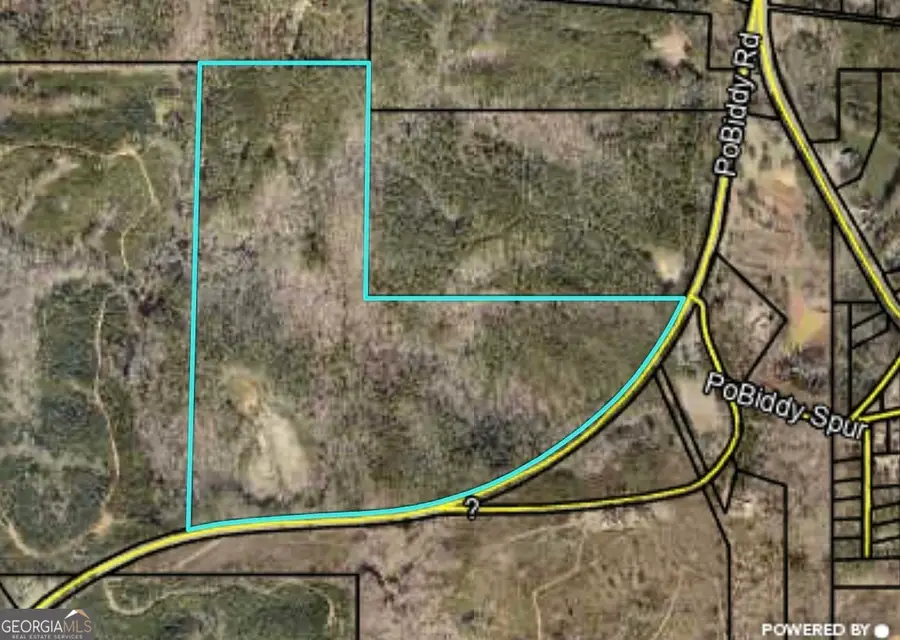 103 ACRES Pobiddy Road, Thomaston, GA 30286 - #2