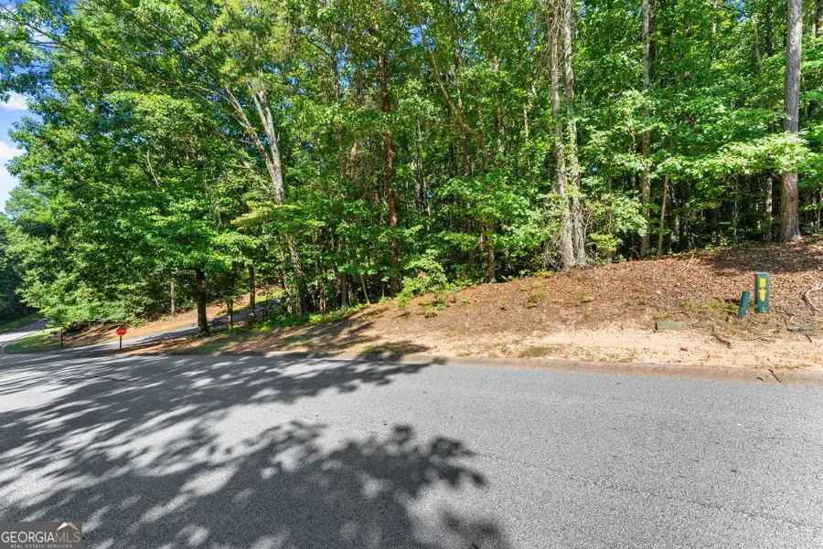 786 Cherry Court #718, Clarkesville, GA 30523 - #3