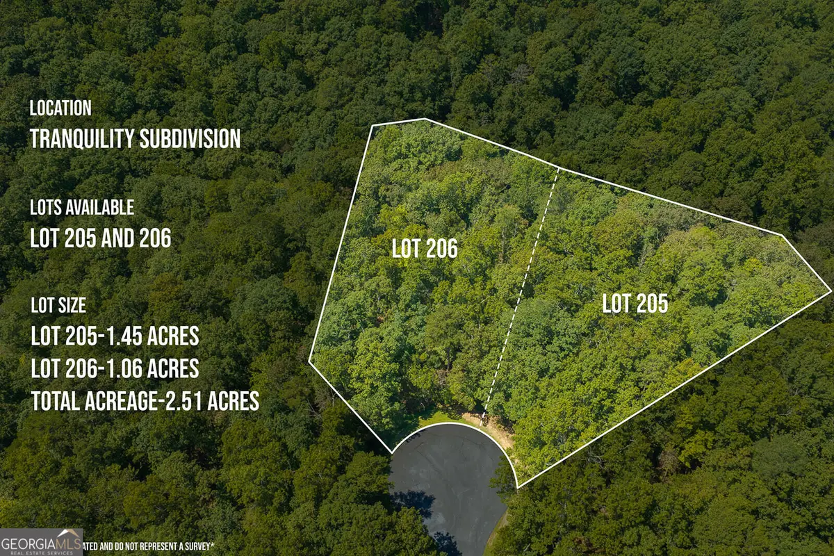 LTS 205/206 Harris Ridge Drive, Ellijay, GA 30540 - #1
