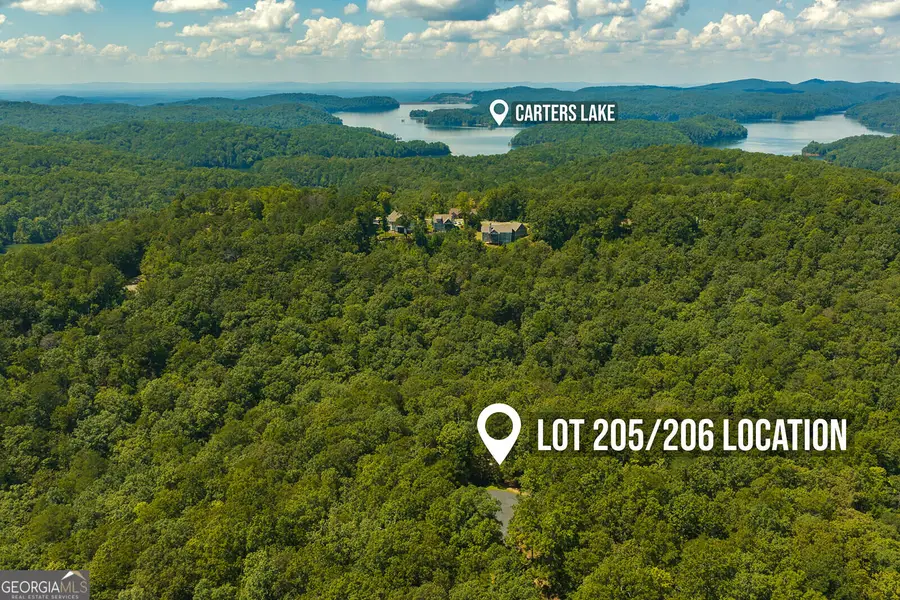 LTS 205/206 Harris Ridge Drive, Ellijay, GA 30540 - #2