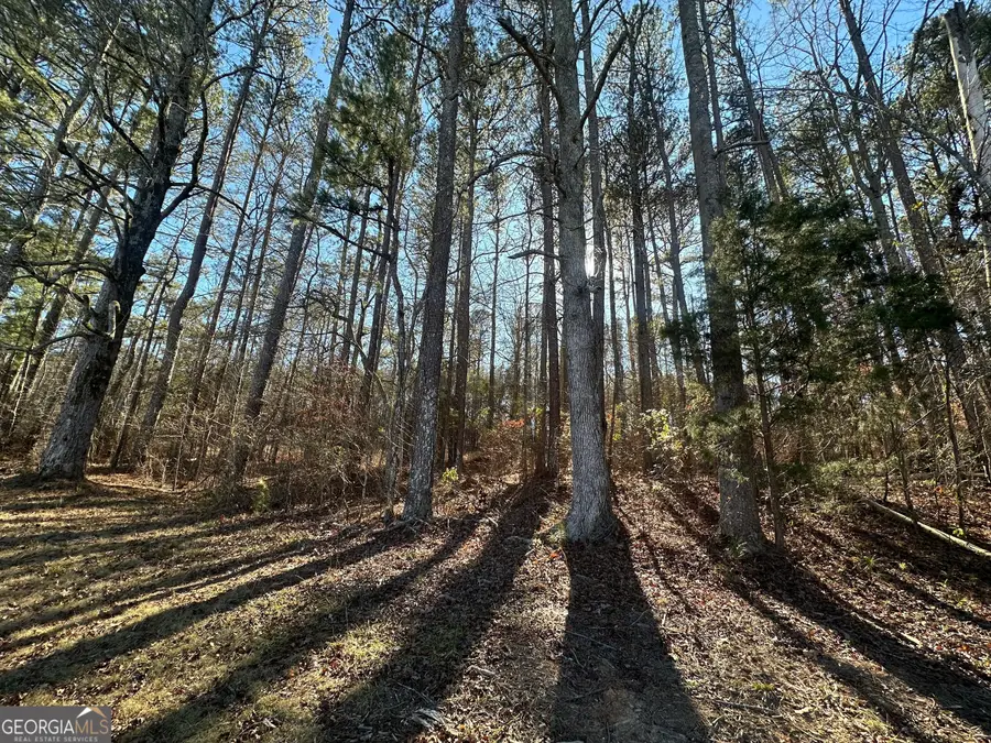 0 Hard Rock Road, Oxford, GA 30054 - #2