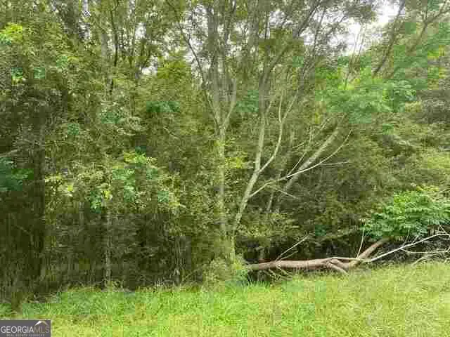 0 River Birch Lane #TRACT 9, Colbert, GA 30628 - #1