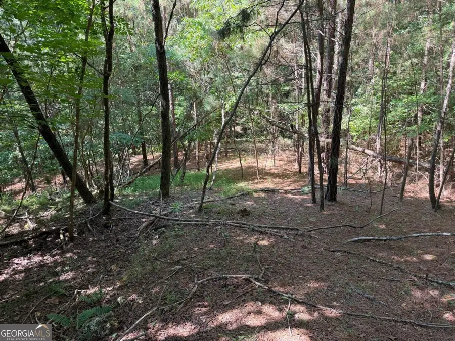 LOT 25 Trailwood Drive, Blairsville, GA 30512 - #2