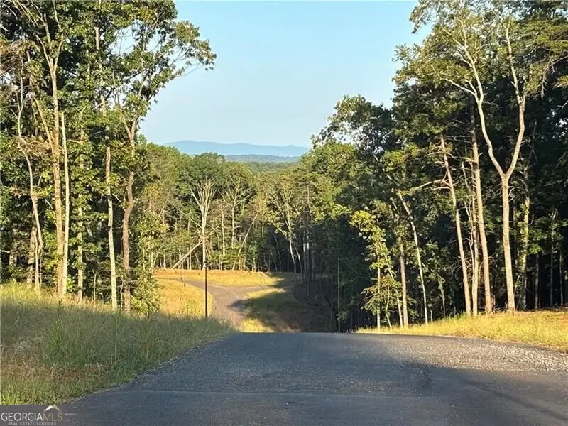 LOT 8 Norton Ridge, Dahlonega, GA 30533 - #3