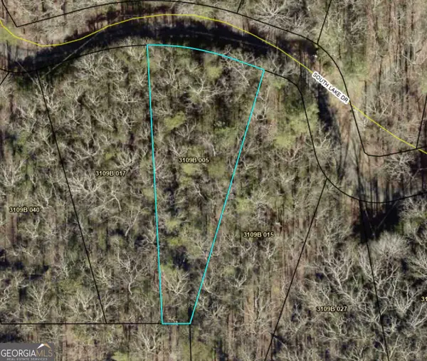 0 South Lake Drive #B65, Ellijay, GA 30536