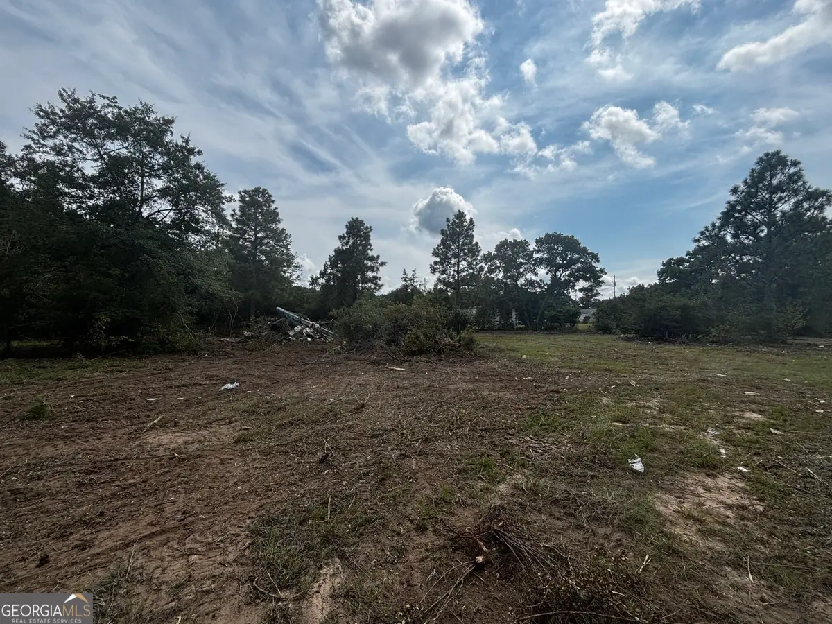 1013 Blasingame Road, Fort Valley, GA 31030 - #1