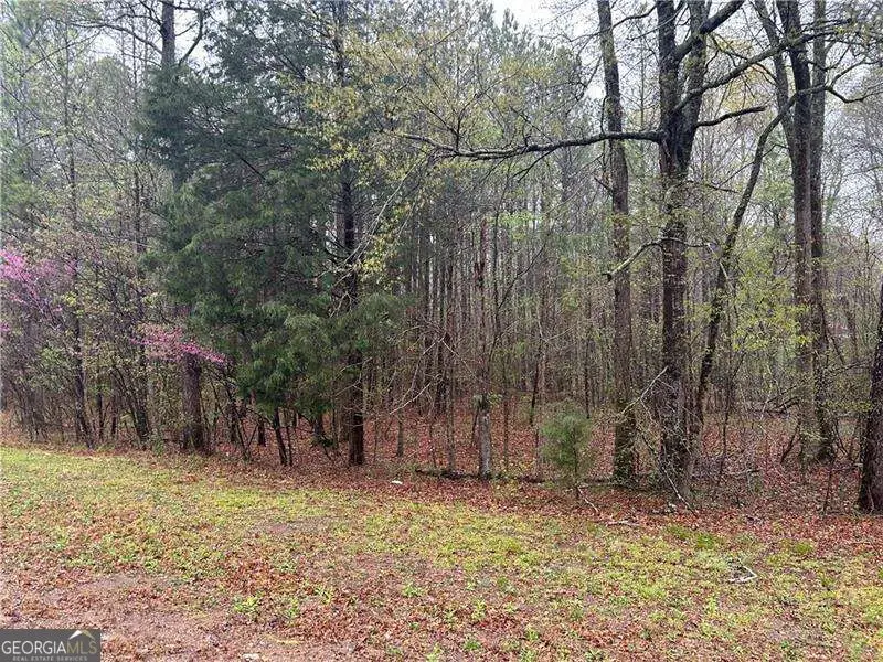 0 Walker Mountain Road Sw, Rome, GA 30161 - #1
