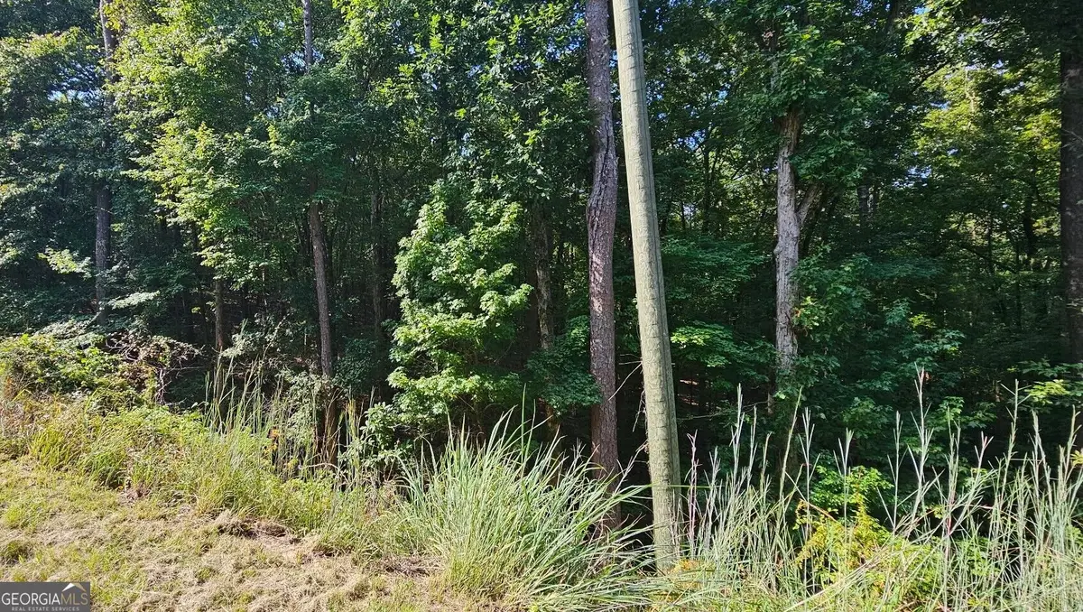 1050 Smith Road, Fortson, GA 31808 - #1