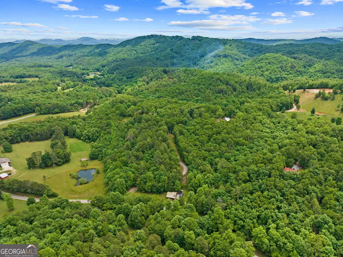 177 - A Shangri La Drive, Mineral Bluff, GA 30559 - #1