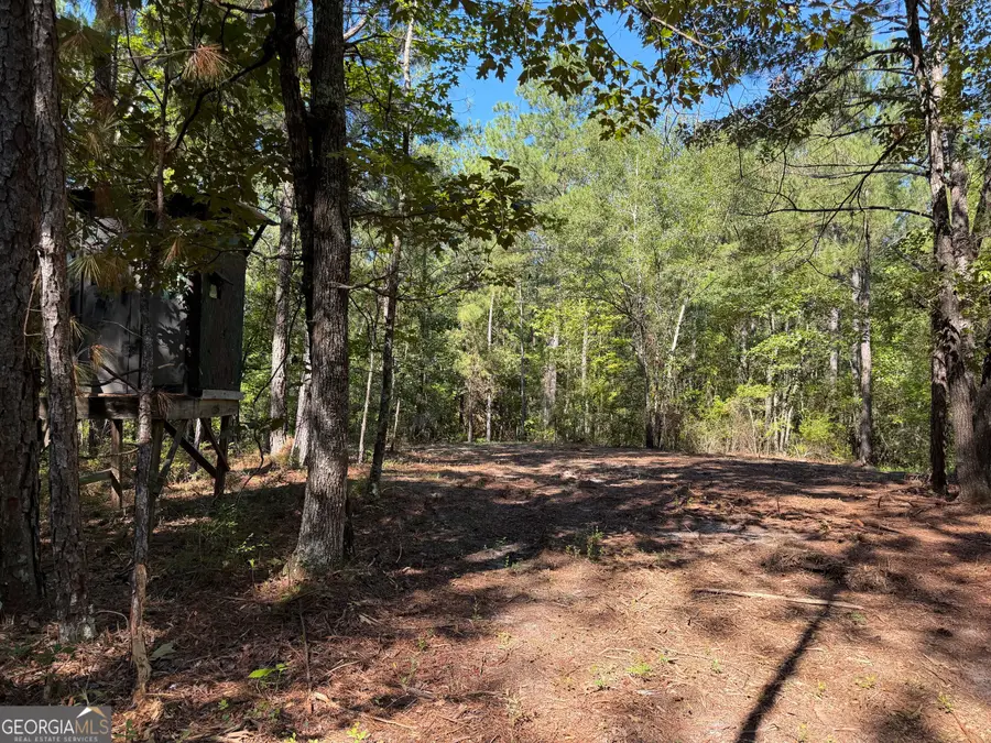 0 Pig Road, Bartow, GA 30413 - #2