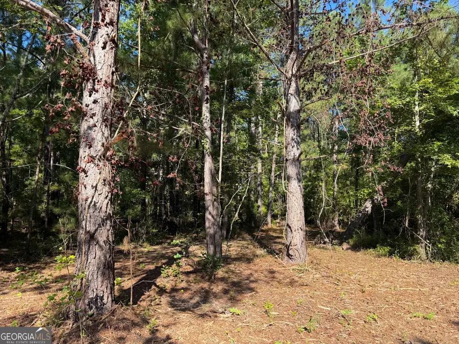 0 Pig Road, Bartow, GA 30413 - #3