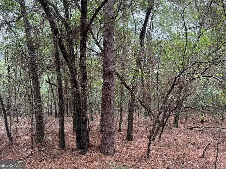 0 Glen Drive #14.74 ACRES, East Dublin, GA 31027 - #2