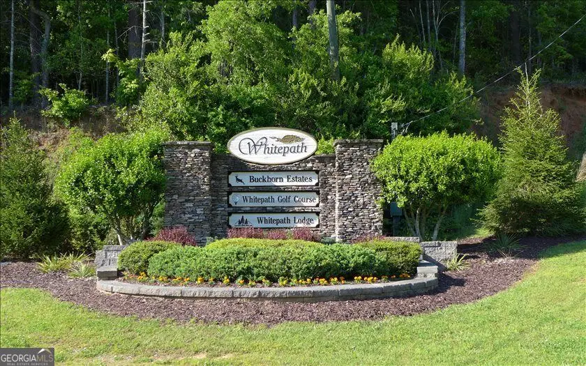 0 Coatopa Court, Ellijay, GA 30540 - #3