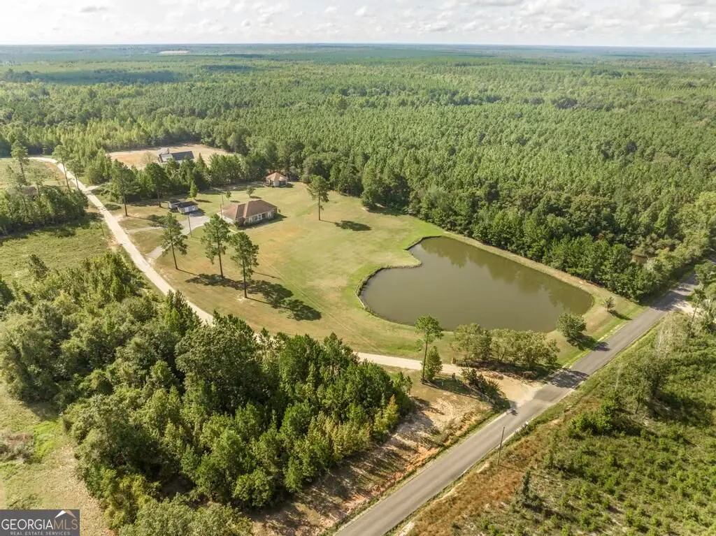2509 Orphans Cemetery Road, Eastman, GA 31023 - #1