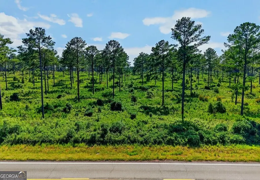 0 Hwy 30 #TRACT A, Buena Vista, GA 31803 - #2