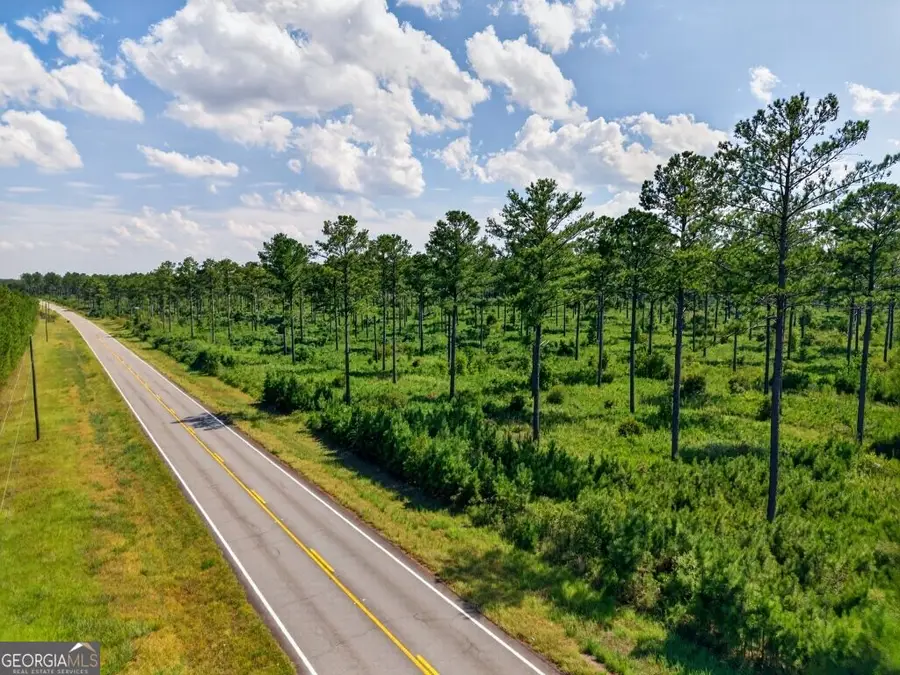 0 Hwy 30 #TRACT A, Buena Vista, GA 31803 - #3