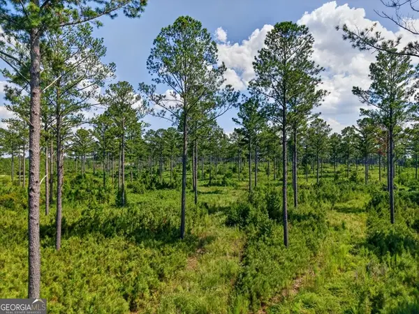 0 Hwy 30 #TRACT B, Buena Vista, GA 31803