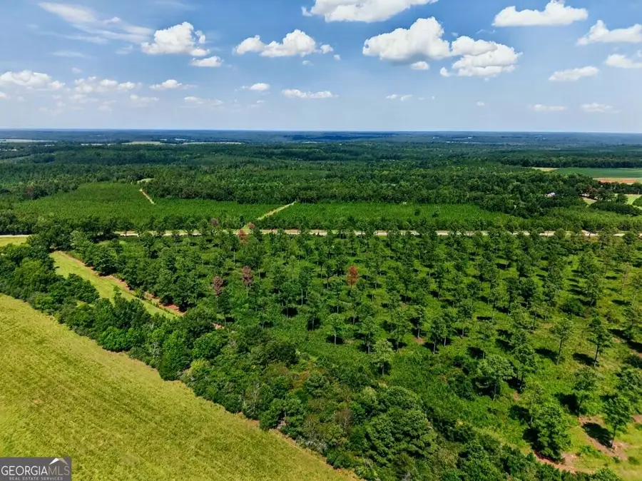 0 Hwy 30 #TRACT B, Buena Vista, GA 31803 - #2