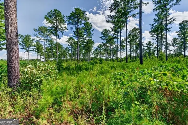 0 Hwy 30 #TRACT C, Buena Vista, GA 31803