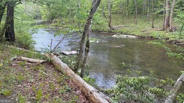 01 Highway 136 W, Talking Rock, GA 30175 - #2